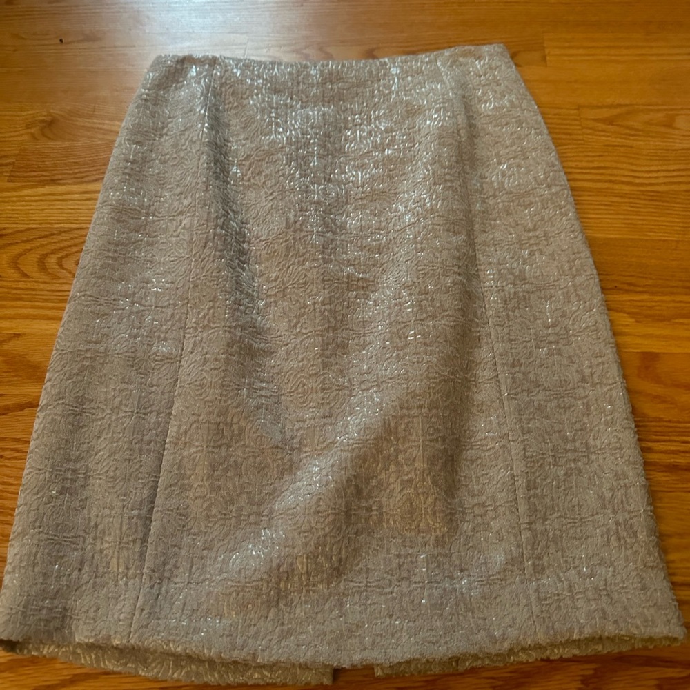 Ann Taylor skirt